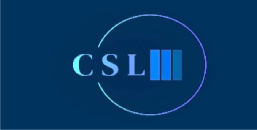 CSL MARINE SURVEYORS LLC
